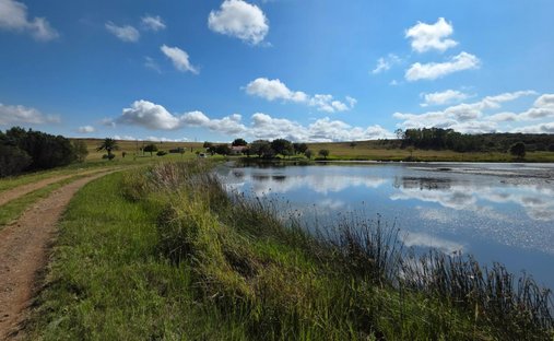 Farm Ranch in Bronkhorstspruit, Gauteng, South Africa 1