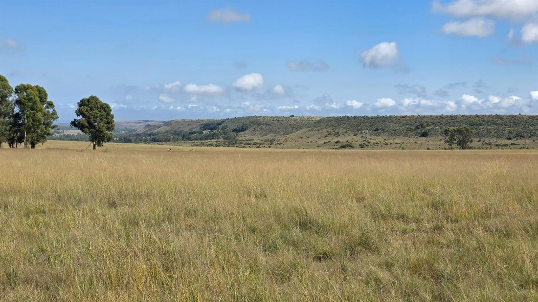 Farm Ranch in City of Tshwane Metropolitan Municipality, Gauteng, South Africa 3 - 17467298
