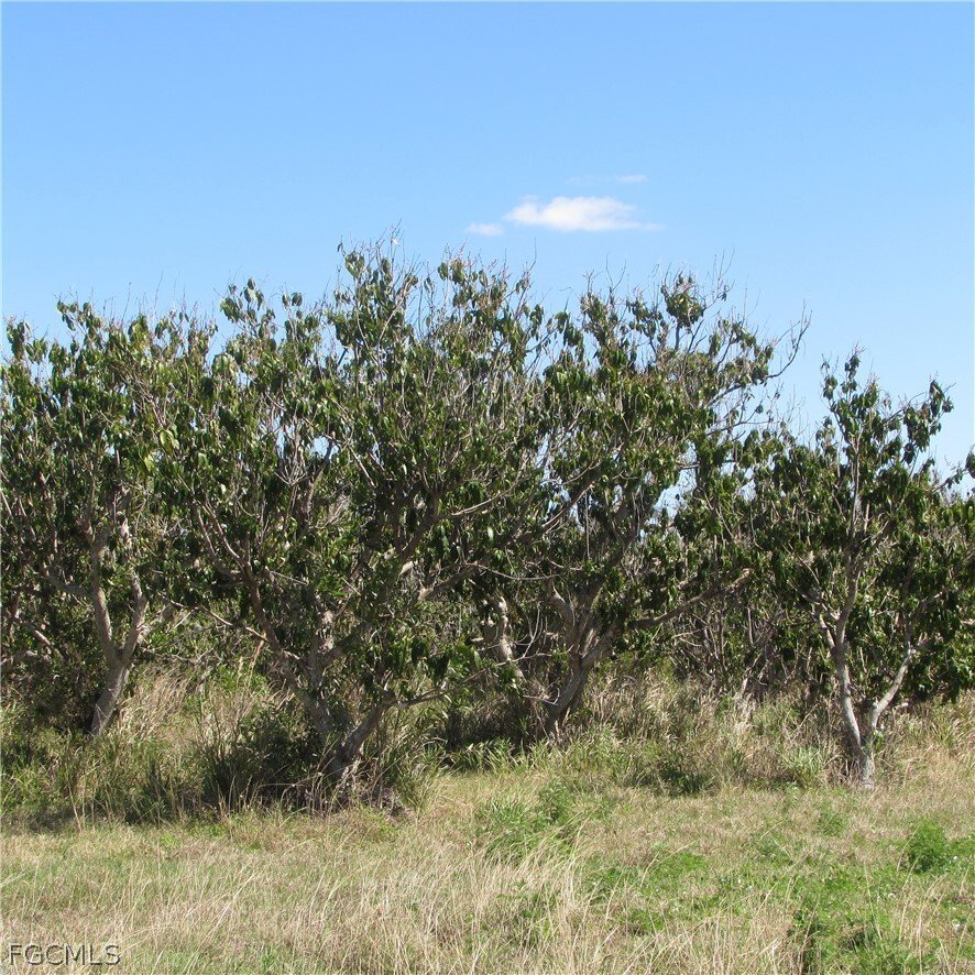 Land in Bokeelia, Florida, United States 1 - 17465919