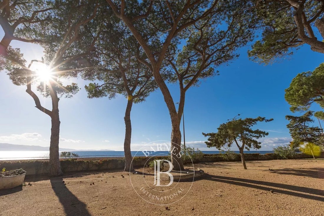 Apartment in Ajaccio, Corsica, France 1 - 17466595