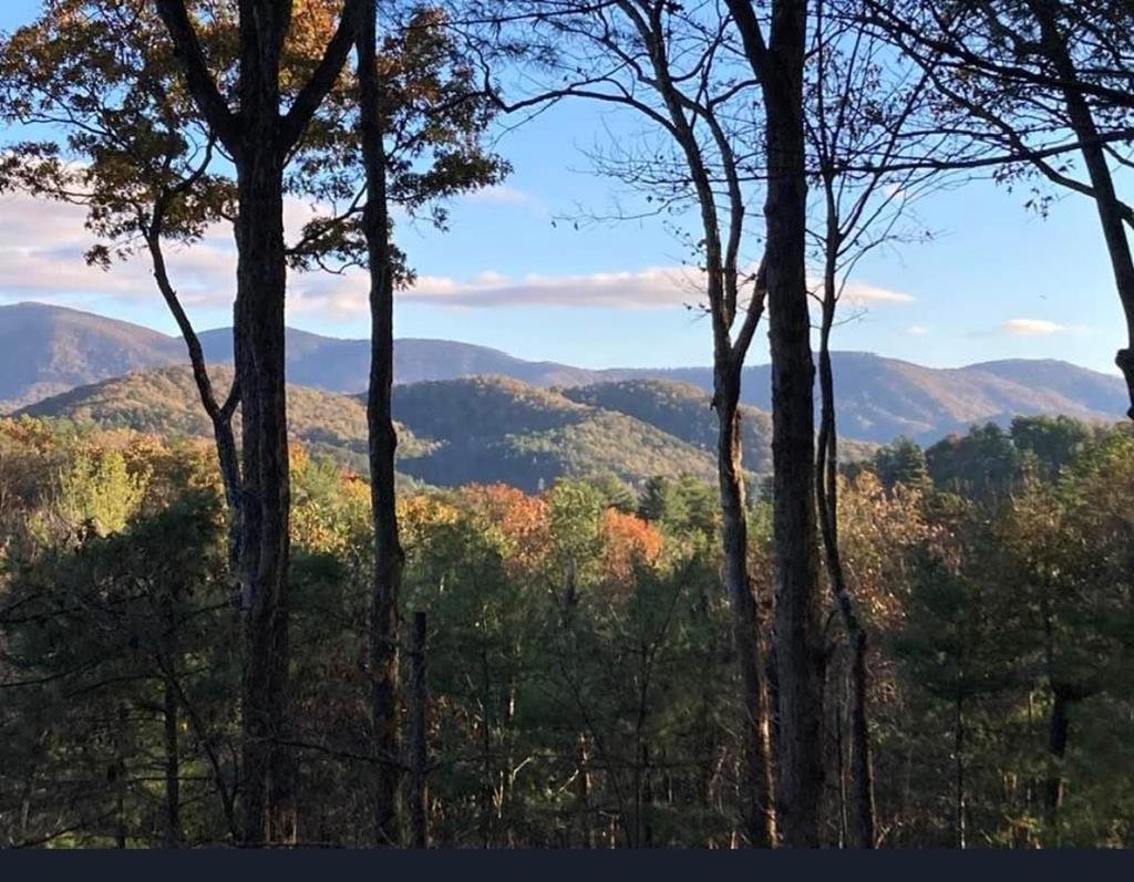 House in Cherry Log, Georgia, United States 1 - 17465188