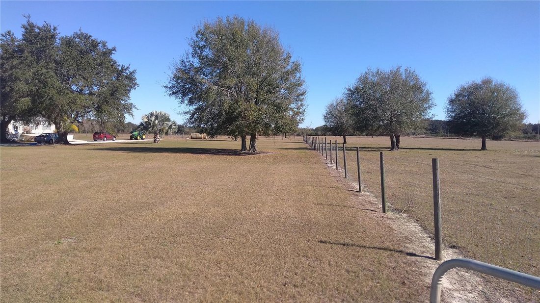 Fort Meade, Florida, United States 5 - 17464233