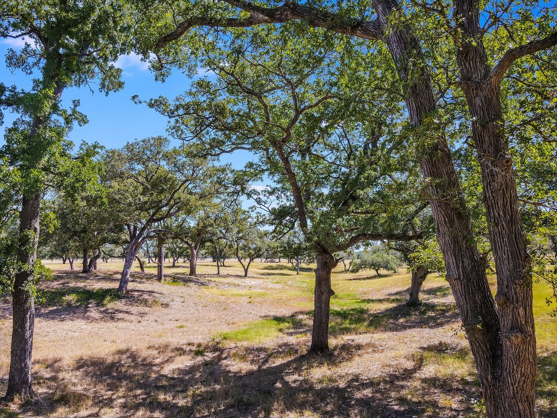 Farm Ranch in Smithville, Texas, United States 3 - 17464643