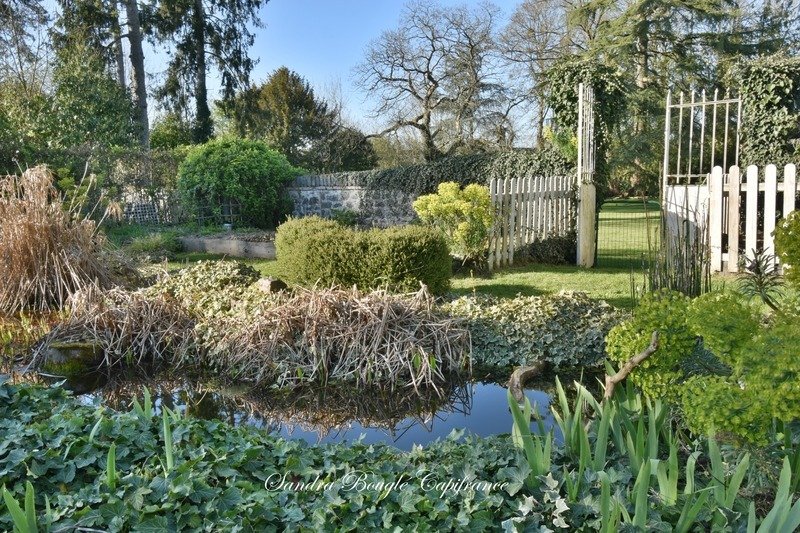 House in Soulge-sur-Ouette, Pays de la Loire, France 5 - 17467784
