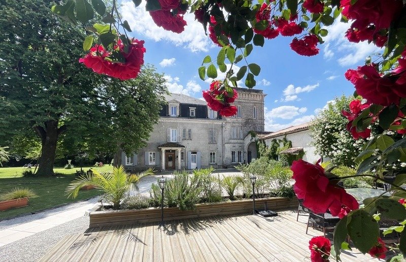 Castle in Cognac, Nouvelle-Aquitaine, France 1 - 17467753
