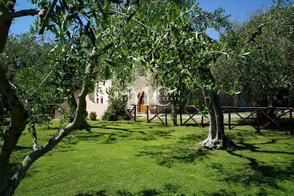 Farm Ranch in Scarlino, Tuscany, Italy 5 - 17467293