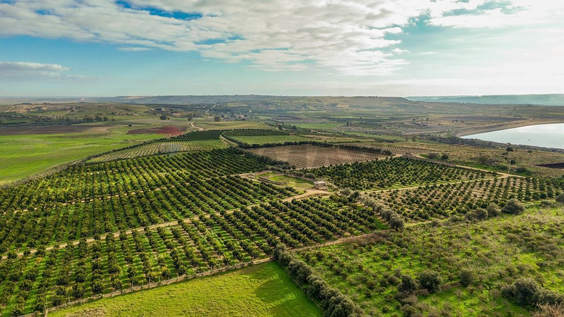 Land in Lentini, Sicily, Italy 1 - 17468262