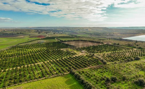 Land in Lentini, Sicily, Italy 1