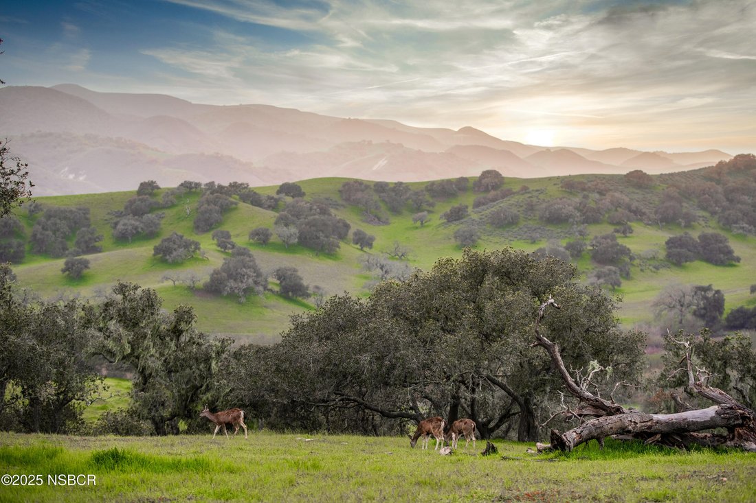 House in Goleta, California, United States 4 - 17465536