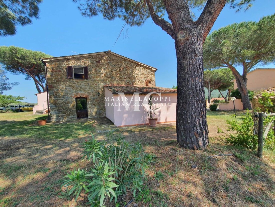 Farm Ranch in Scarlino, Tuscany, Italy 4 - 17467293