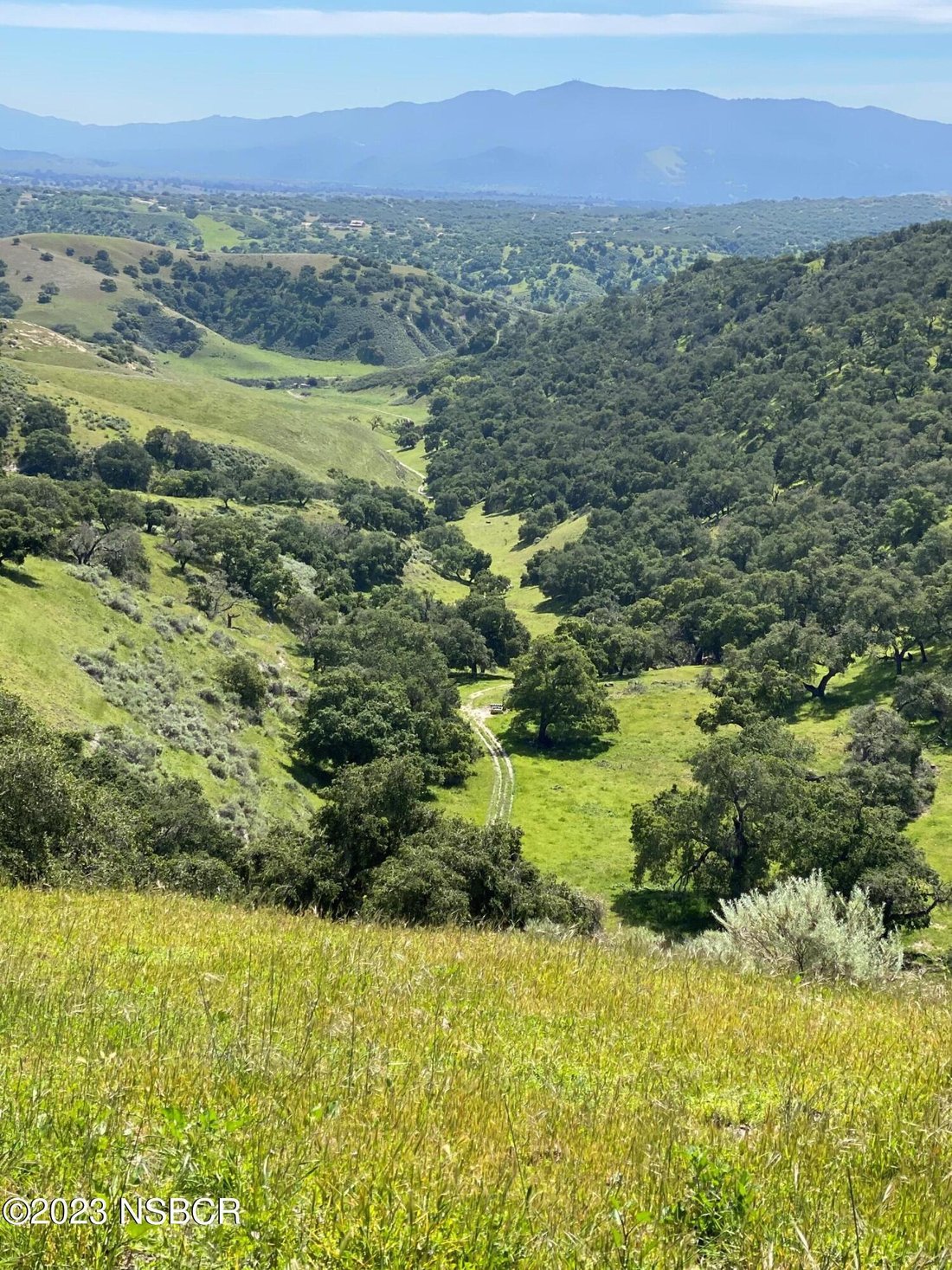 Buellton, California, United States 2 - 17465407
