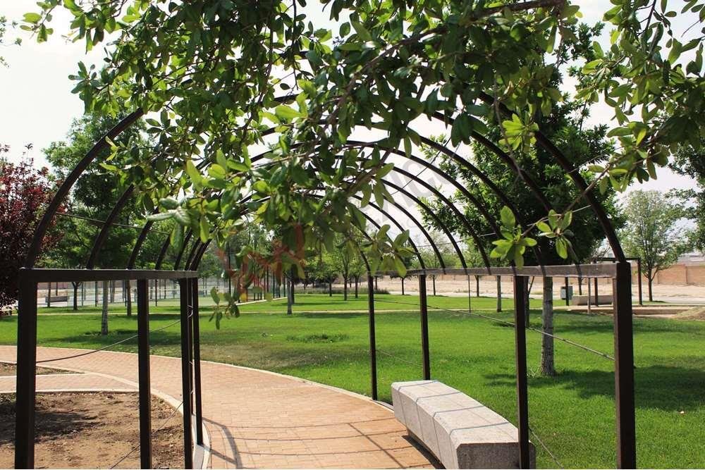 Land in Saltillo, Coahuila, Mexico 3 - 17466851