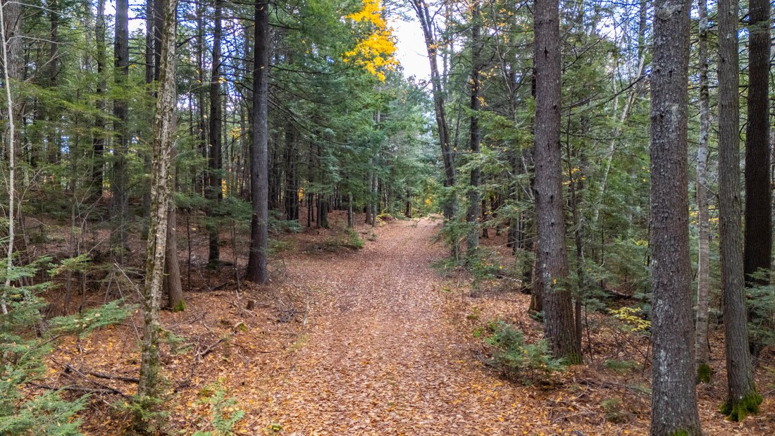 Land in Wiscasset, Maine, United States 5 - 17466807