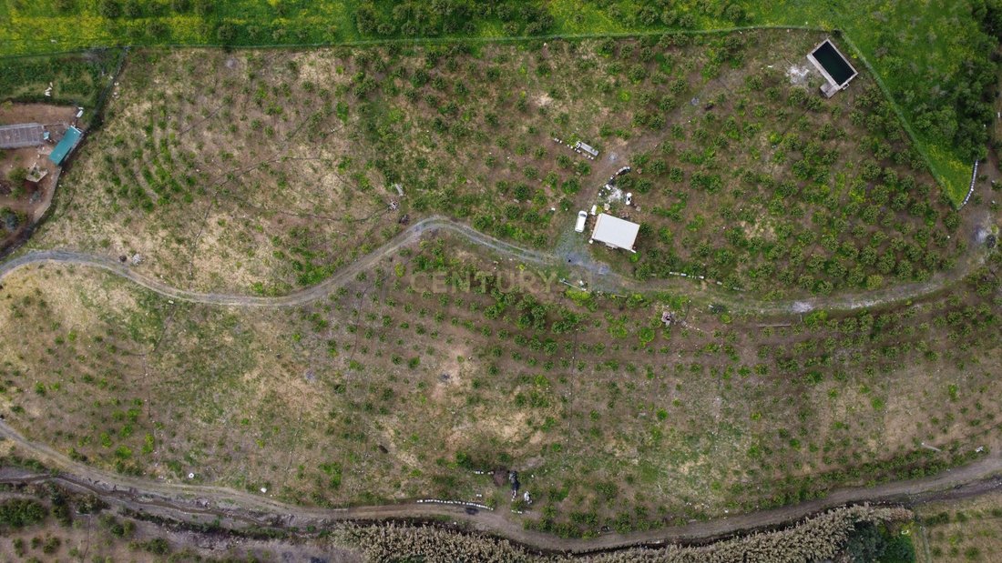 Land in Alora, Andalusia, Spain 5 - 17464941