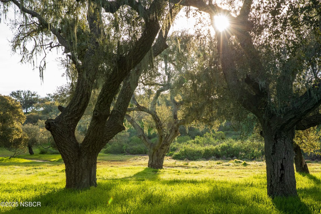 House in Goleta, California, United States 5 - 17465536