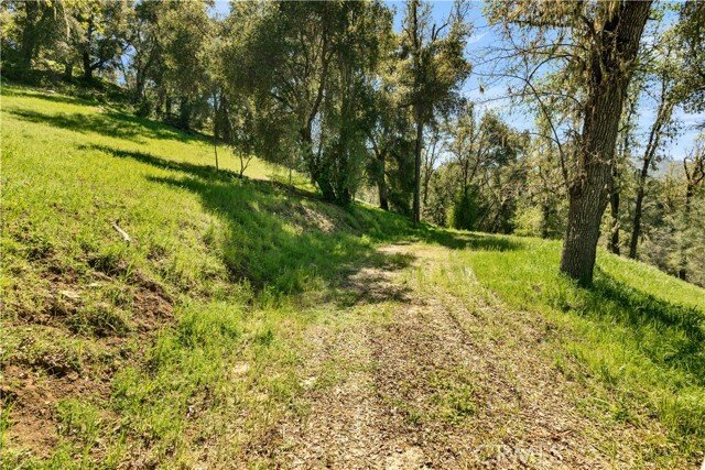 Land in Paso Robles, California, United States 5 - 17465833