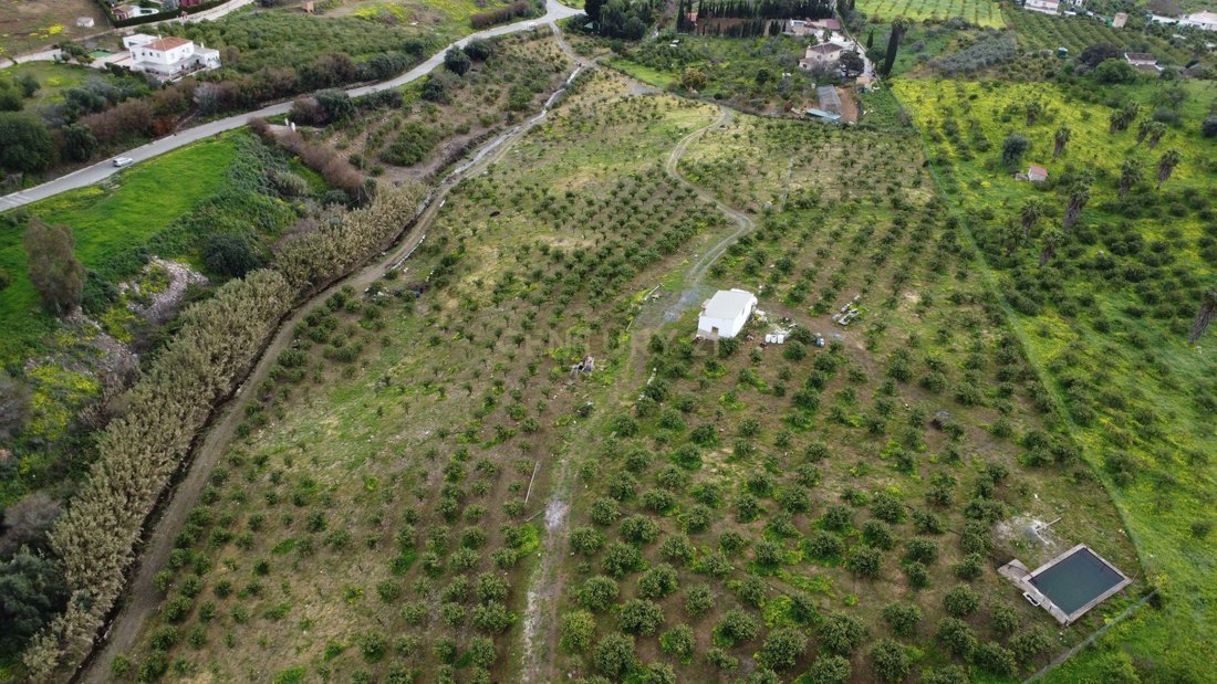 Land in Alora, Andalusia, Spain 1 - 17464941