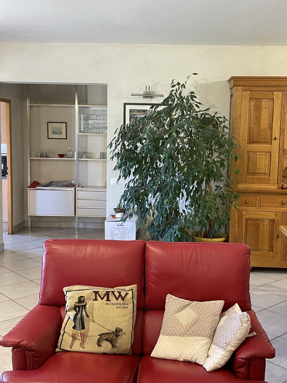 Villa in Rasteau, Provence-Alpes-Côte d'Azur, France 5 - 17467213