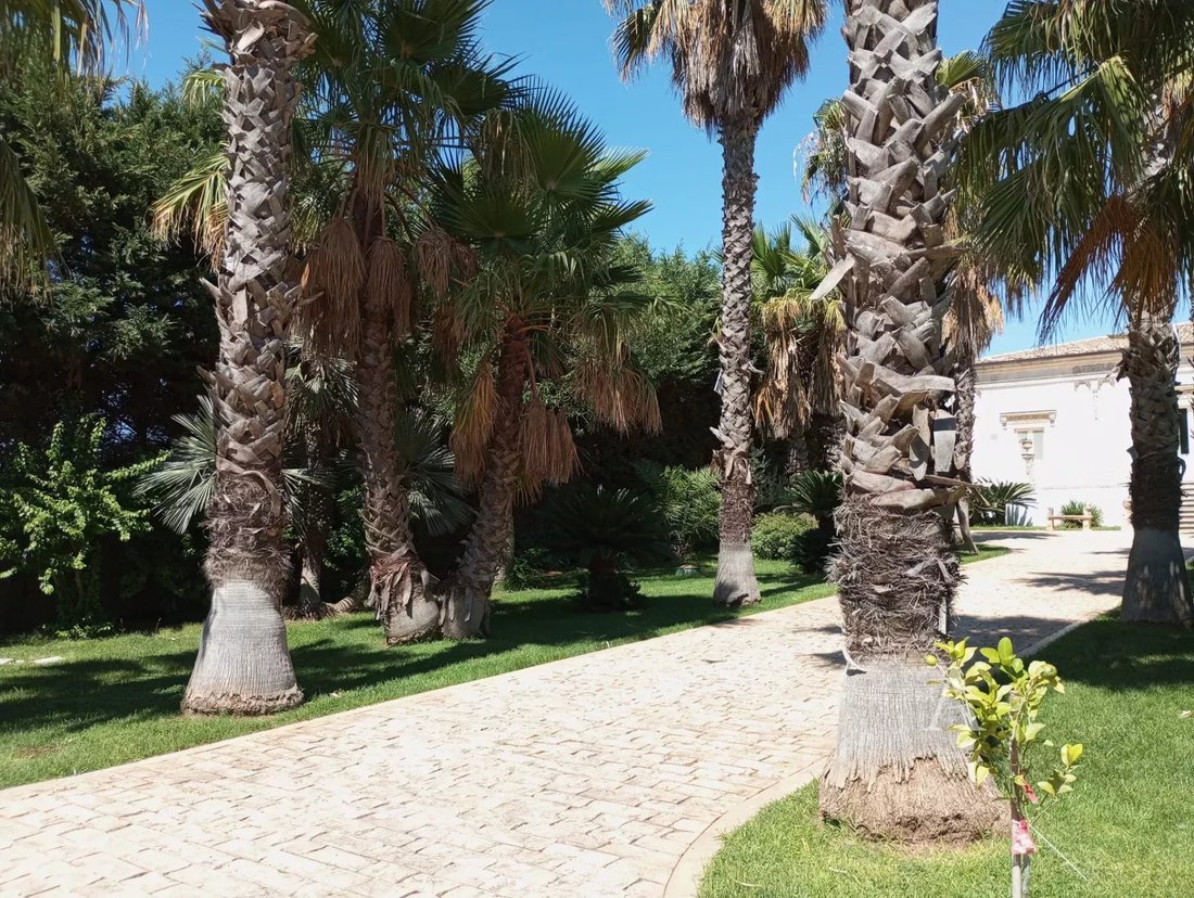 Villa in Marina, Ragusa, Sicily 4 - 16391075