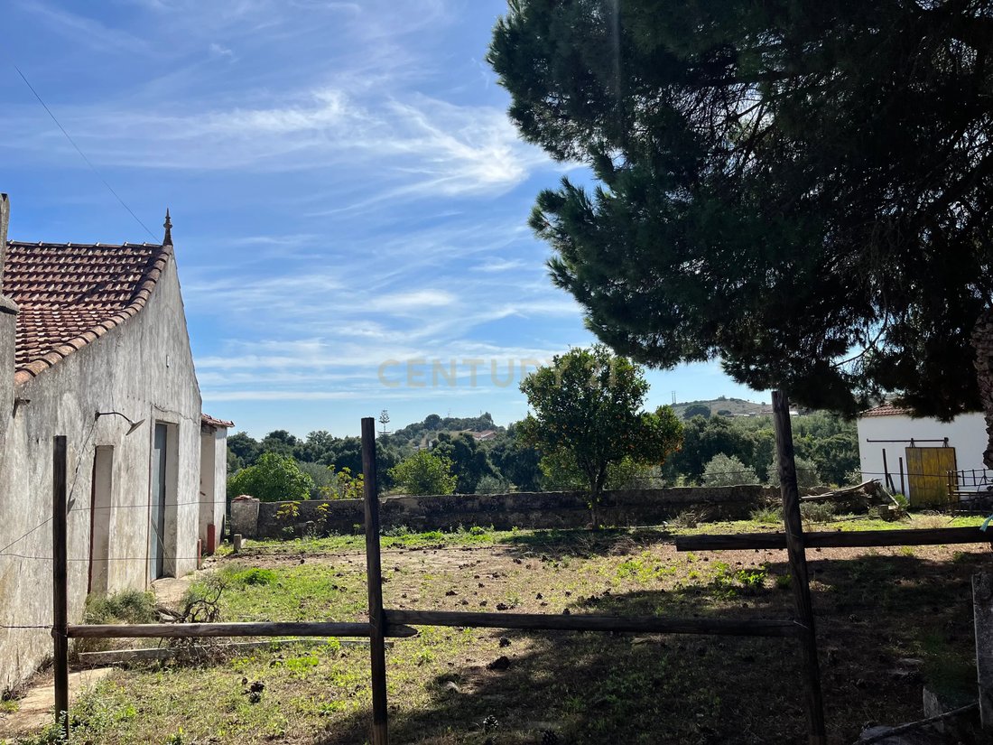 Land in Alcanhoes, Santarem District, Portugal 5 - 17467414