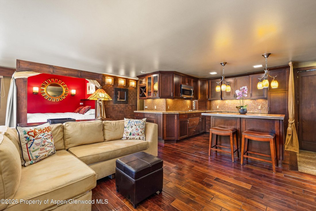 Condo in Aspen, Colorado, United States 2 - 17466246