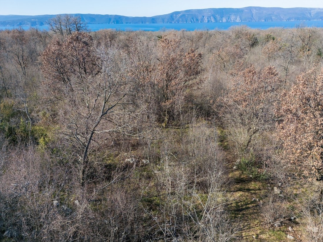 Land in Vrh, Primorje-Gorski Kotar County, Croatia 4 - 17467405