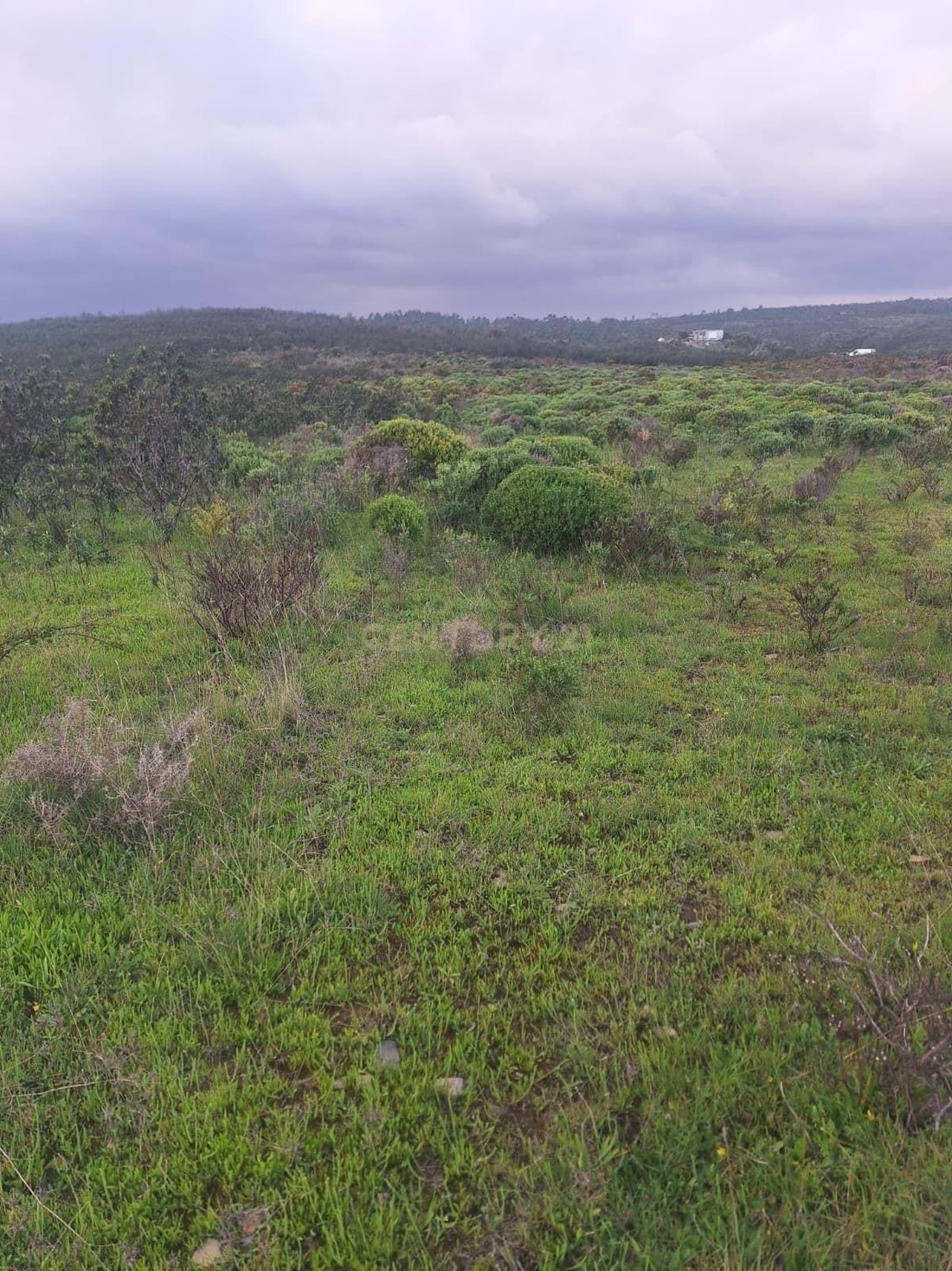 Land in Aljezur, Algarve, Portugal 2 - 14969416