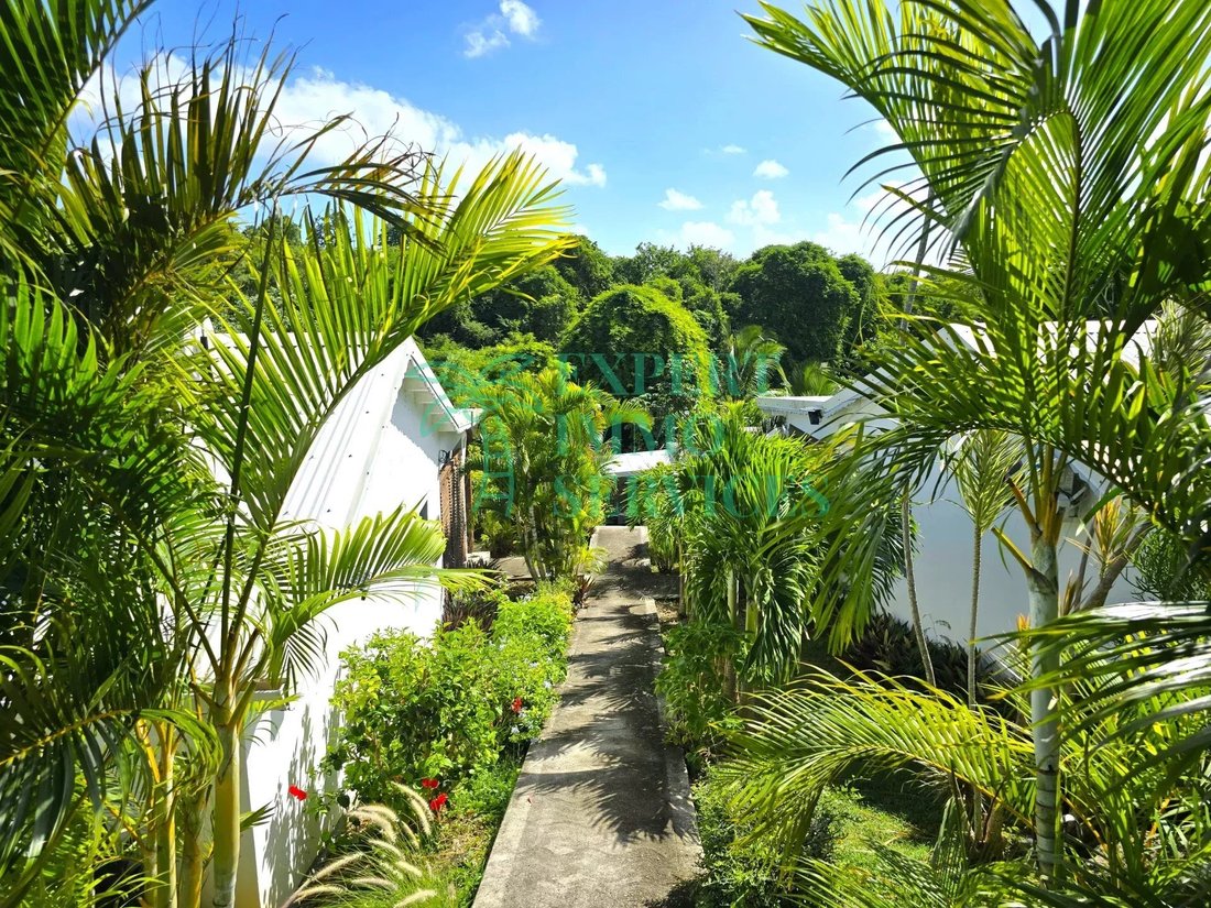 Estate in Grand-Bourg, Grande-Terre, Guadeloupe 1 - 17467483