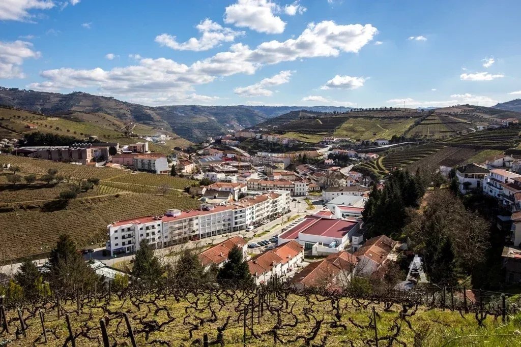 Farm Ranch in Lobrigos (Sao Miguel e Sao Joao Baptista) e Sanhoane, Vila Real District, Portugal 4 - 14573904
