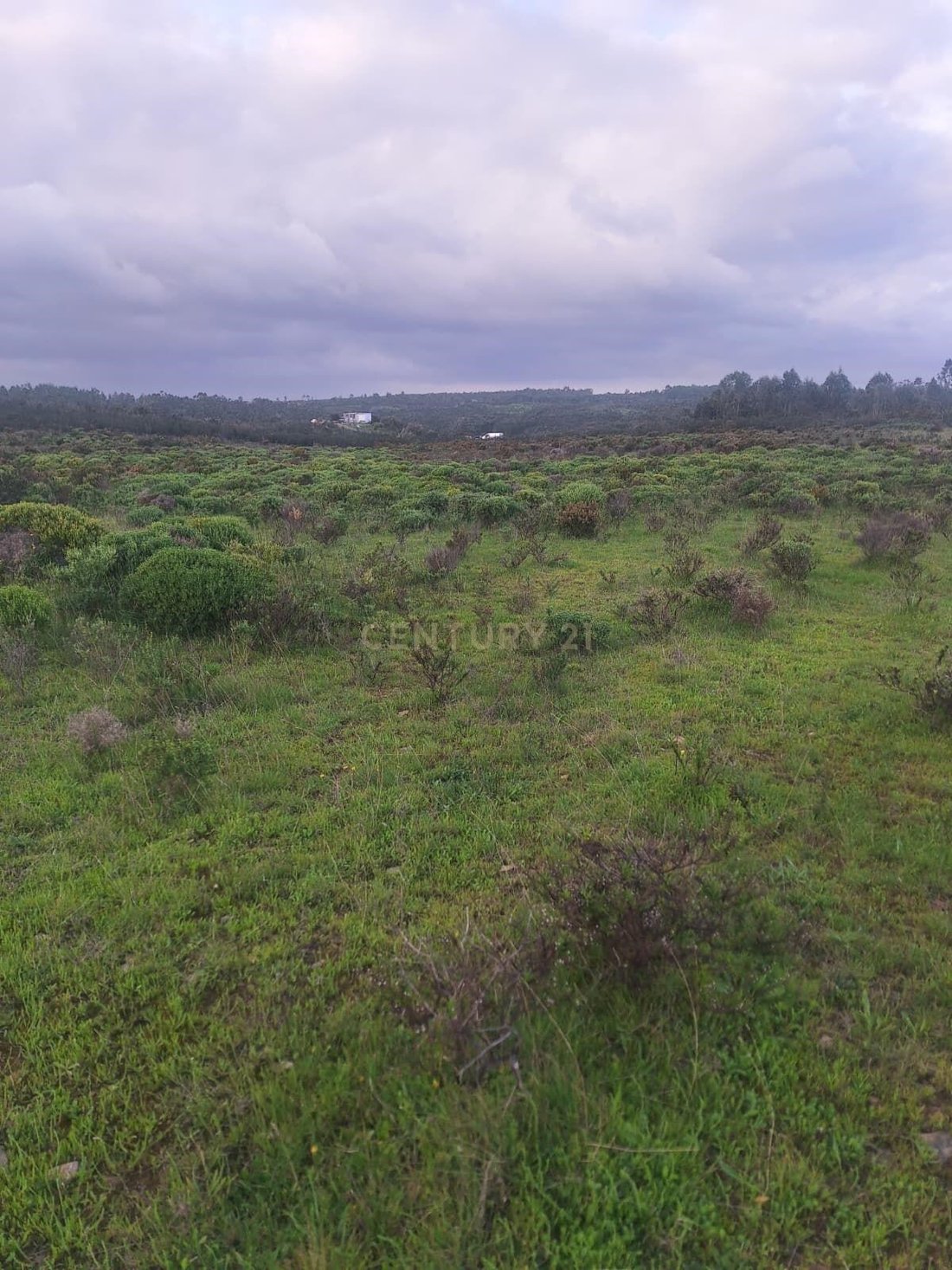 Land in Aljezur, Algarve, Portugal 3 - 14969416