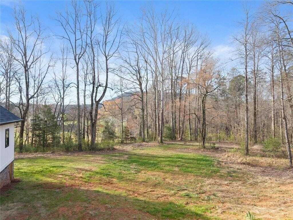 House in Sautee Nacoochee, Georgia, United States 3 - 17467181