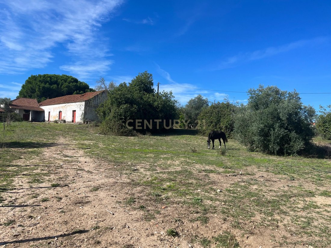 Land in Alcanhoes, Santarem District, Portugal 1 - 17467414