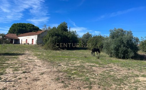 Terreno a Alcanhoes, Distretto di Santarém, Portogallo 1