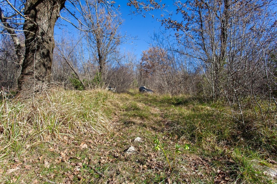 Land in Vrh, Primorje-Gorski Kotar County, Croatia 3 - 17467405