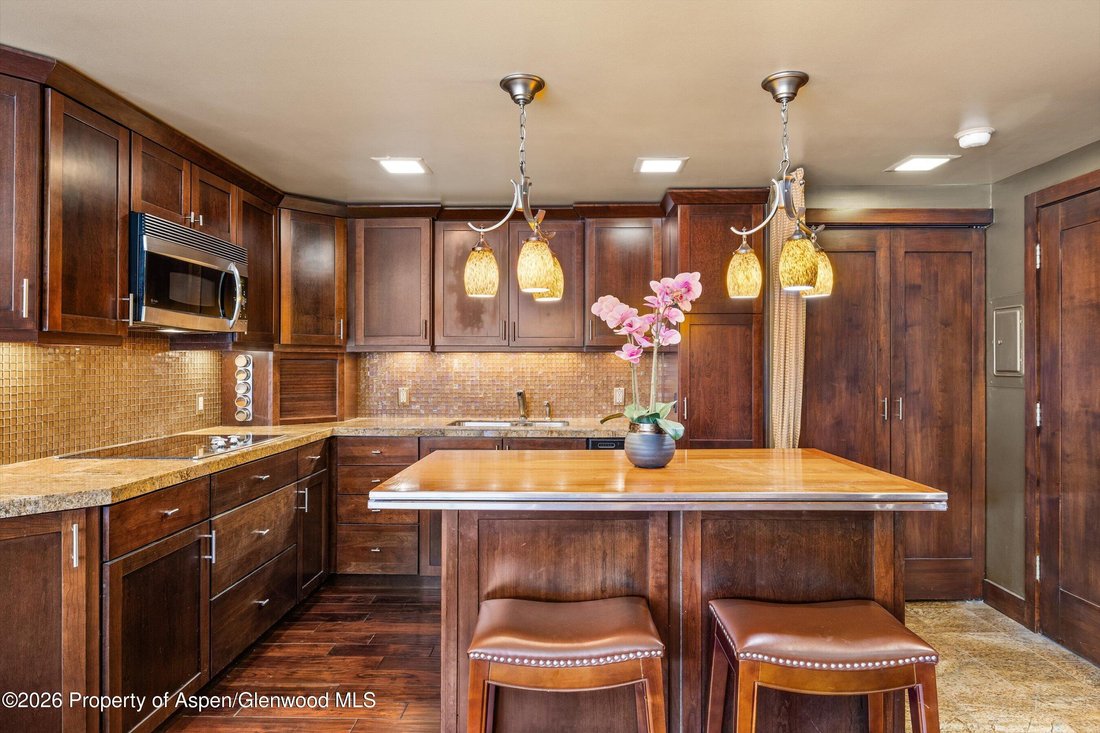 Condo in Aspen, Colorado, United States 4 - 17466246