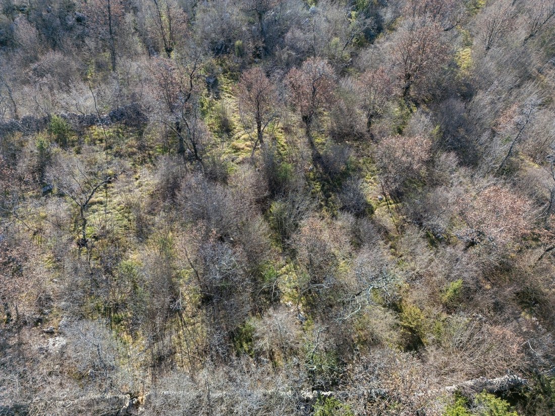 Land in Vrh, Primorje-Gorski Kotar County, Croatia 2 - 17467405