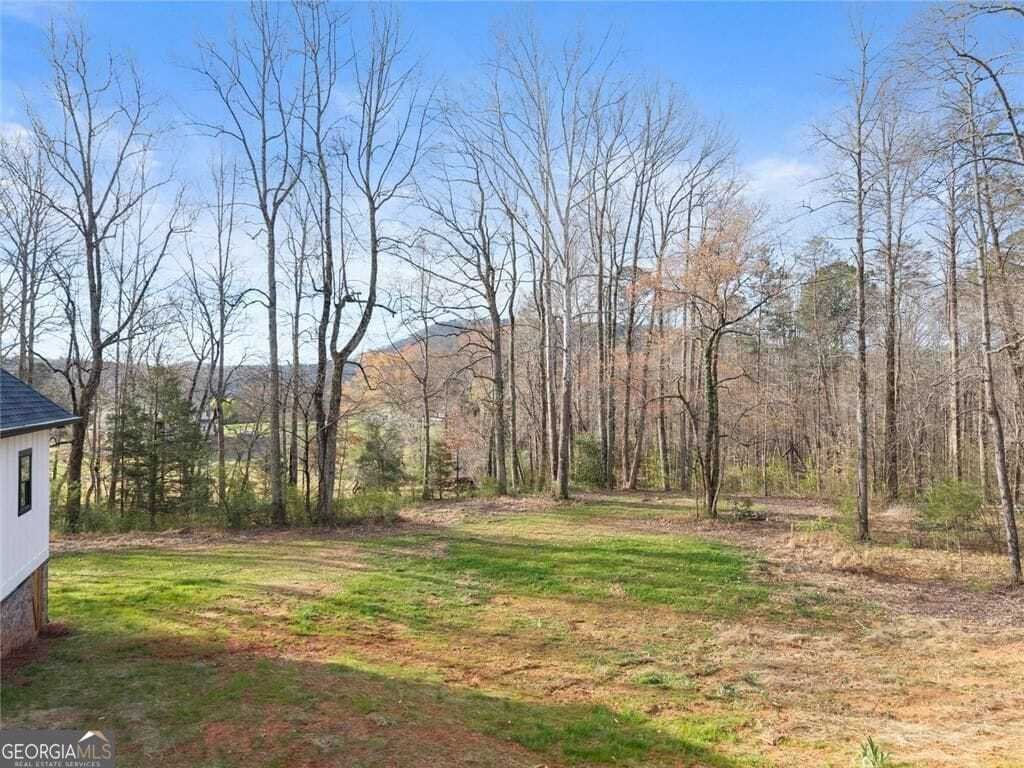House in Sautee Nacoochee, Georgia, United States 3 - 17467234
