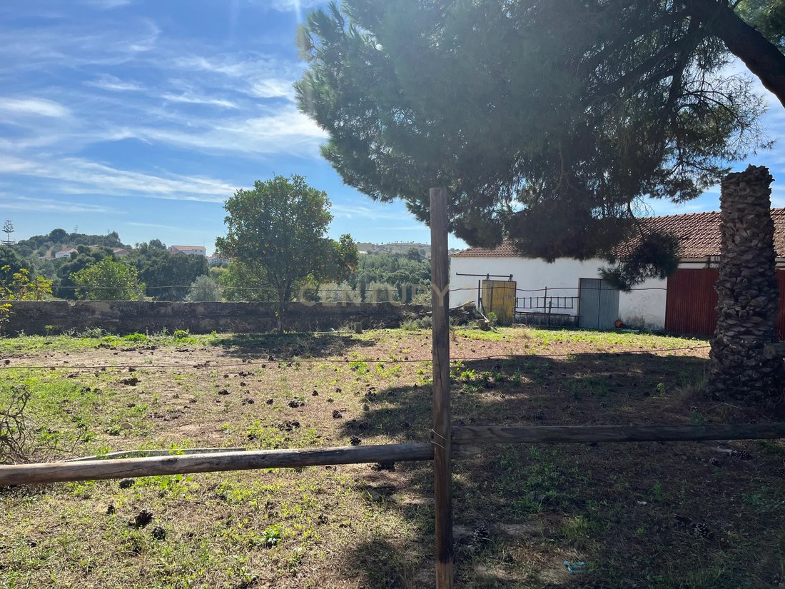 Land in Alcanhoes, Santarem District, Portugal 3 - 17467414