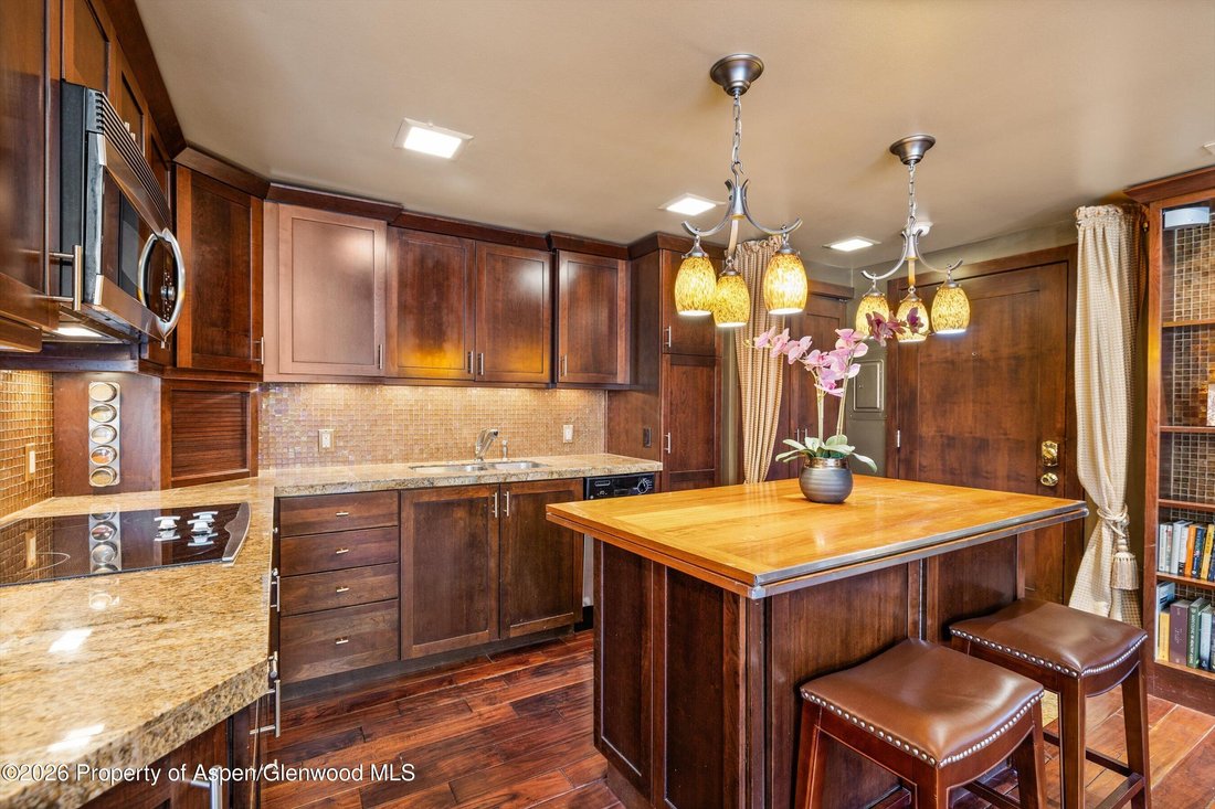 Condo in Aspen, Colorado, United States 5 - 17466246