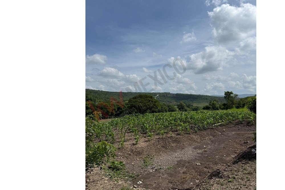 Terreno a Las Cirias, Chiapas, Messico 3 - 17466831