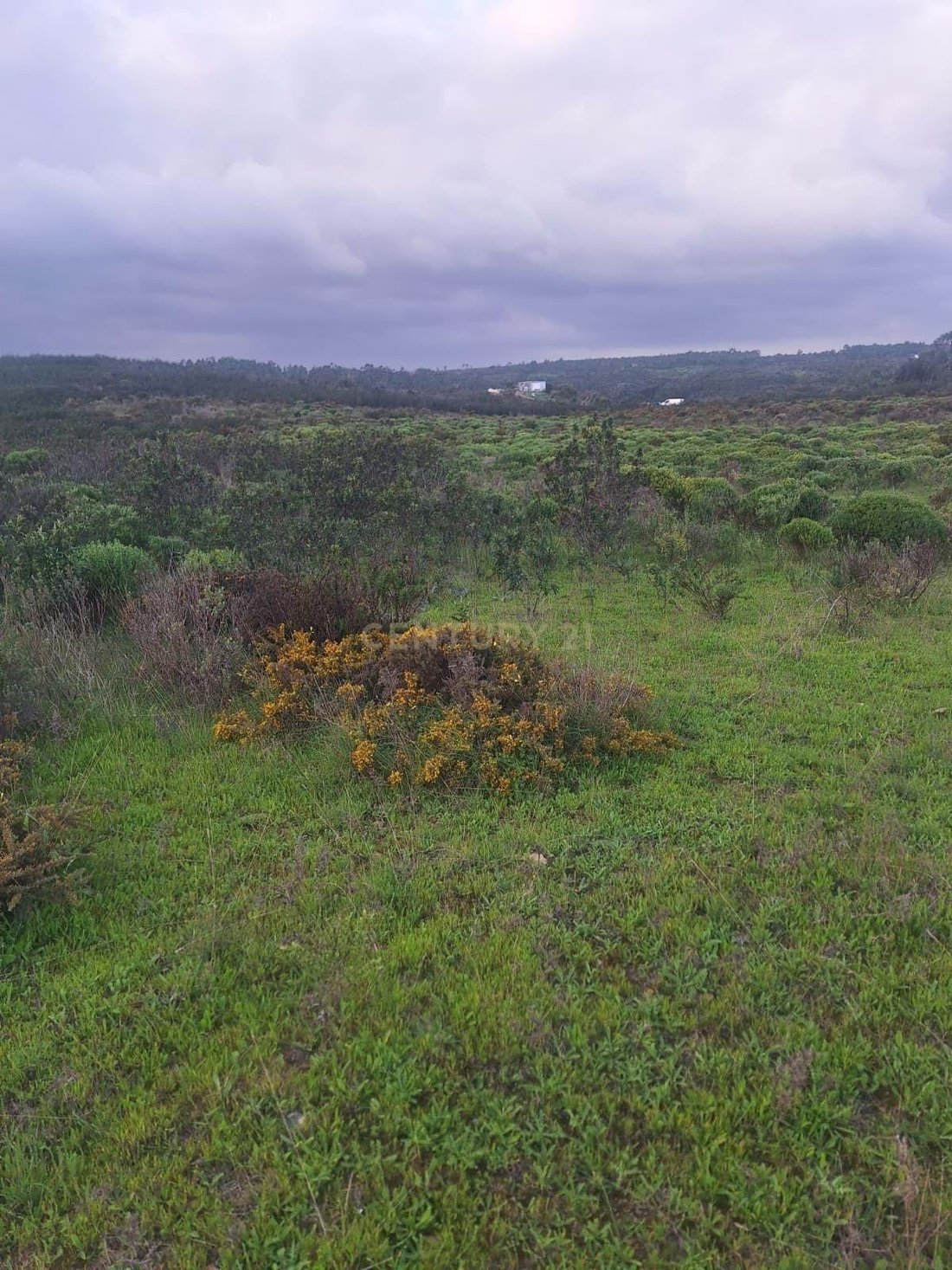 Land in Aljezur, Algarve, Portugal 5 - 14969416
