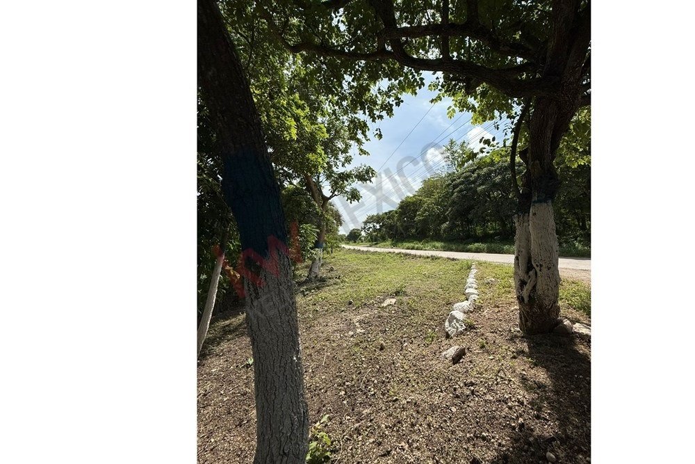 Terreno a Las Cirias, Chiapas, Messico 4 - 17466831