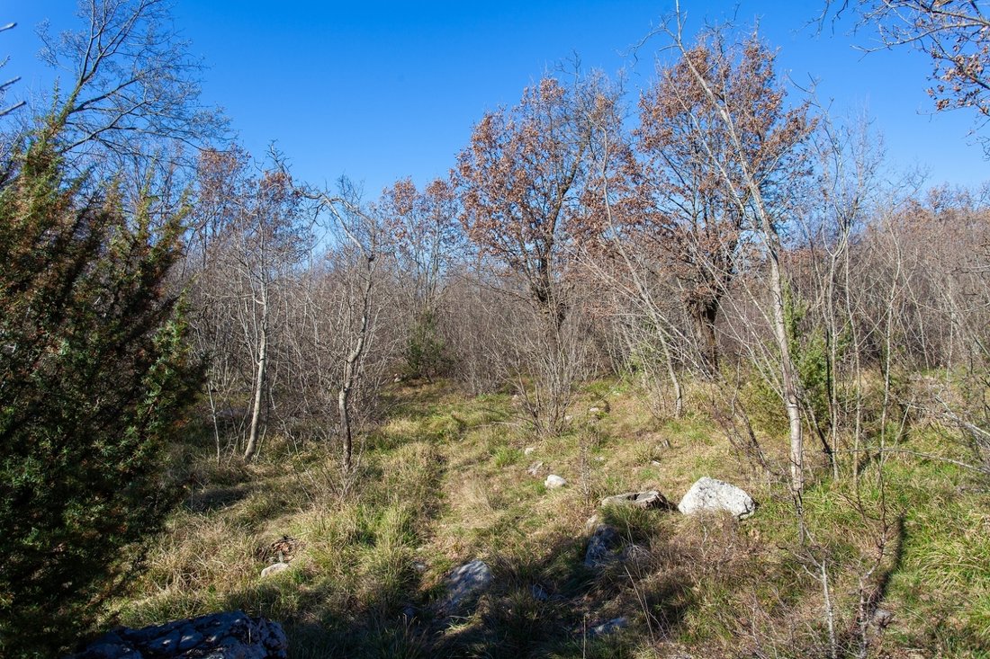 Land in Vrh, Primorje-Gorski Kotar County, Croatia 5 - 17467405