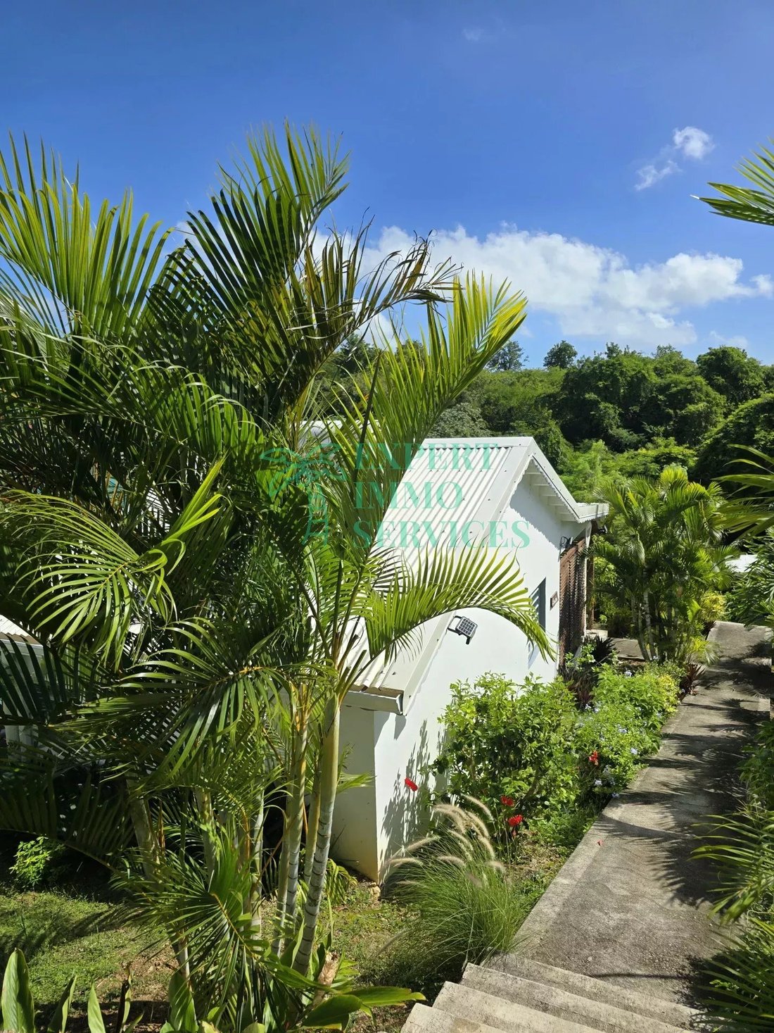 Estate in Grand-Bourg, Grande-Terre, Guadeloupe 5 - 17467483