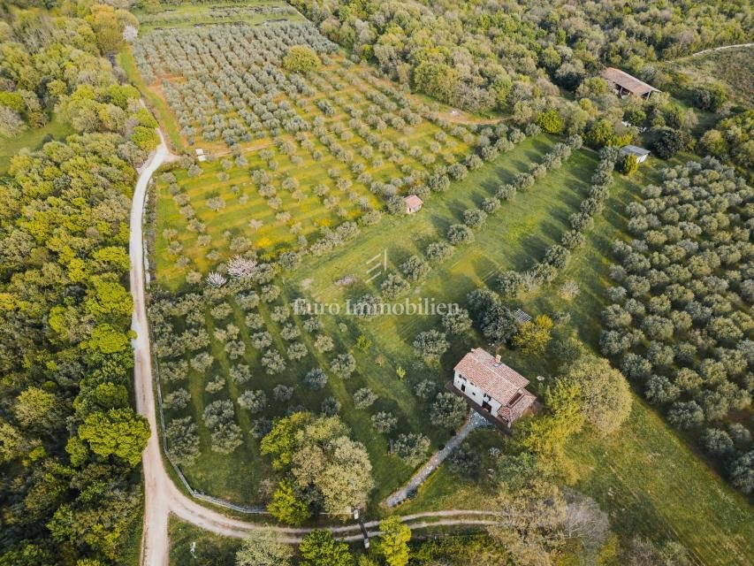 Land in Porec, Istria County, Croatia 1 - 15932084