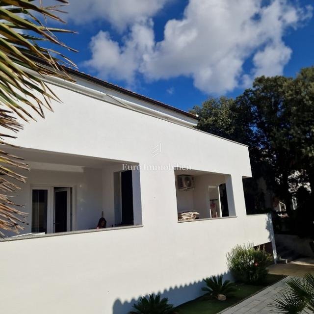 House in Mandre, Croatia 1 - 17469424