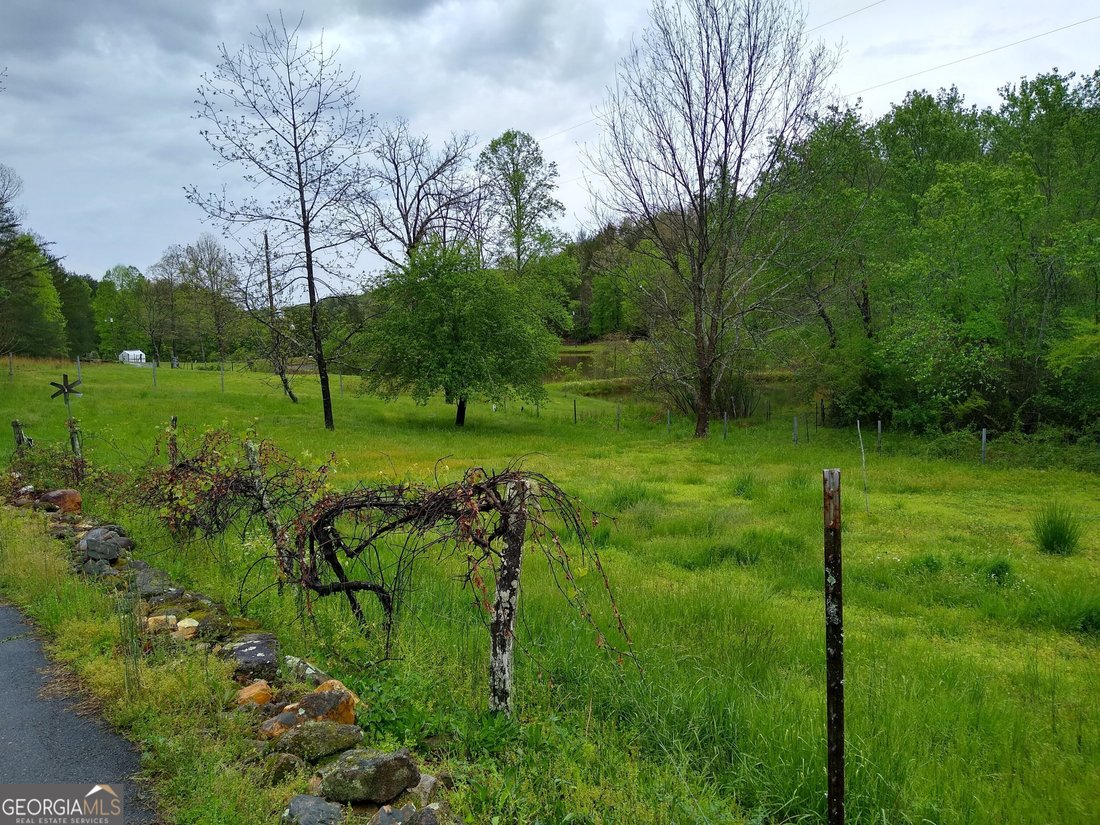 Morganton, Georgia, United States 2 - 17415687