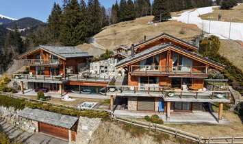Chalet a Gryon, Vaud, Svizzera 2