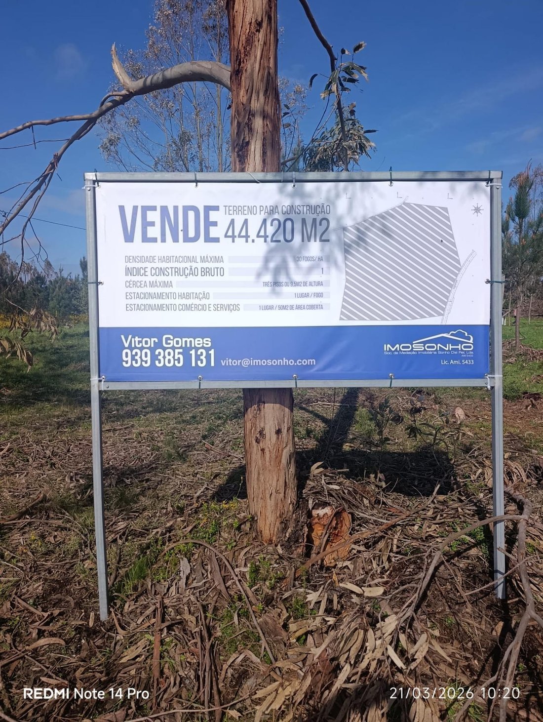 Marinha Grande, Leiria District, Portugal 3 - 14875436