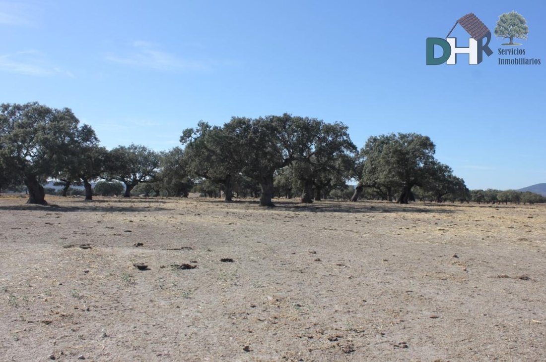 Land in Cáceres, Extremadura, Spanien 5 - 13963760
